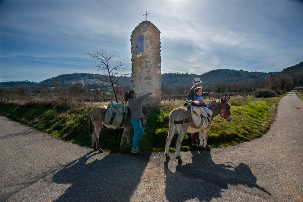 Une journée en rando-ânes